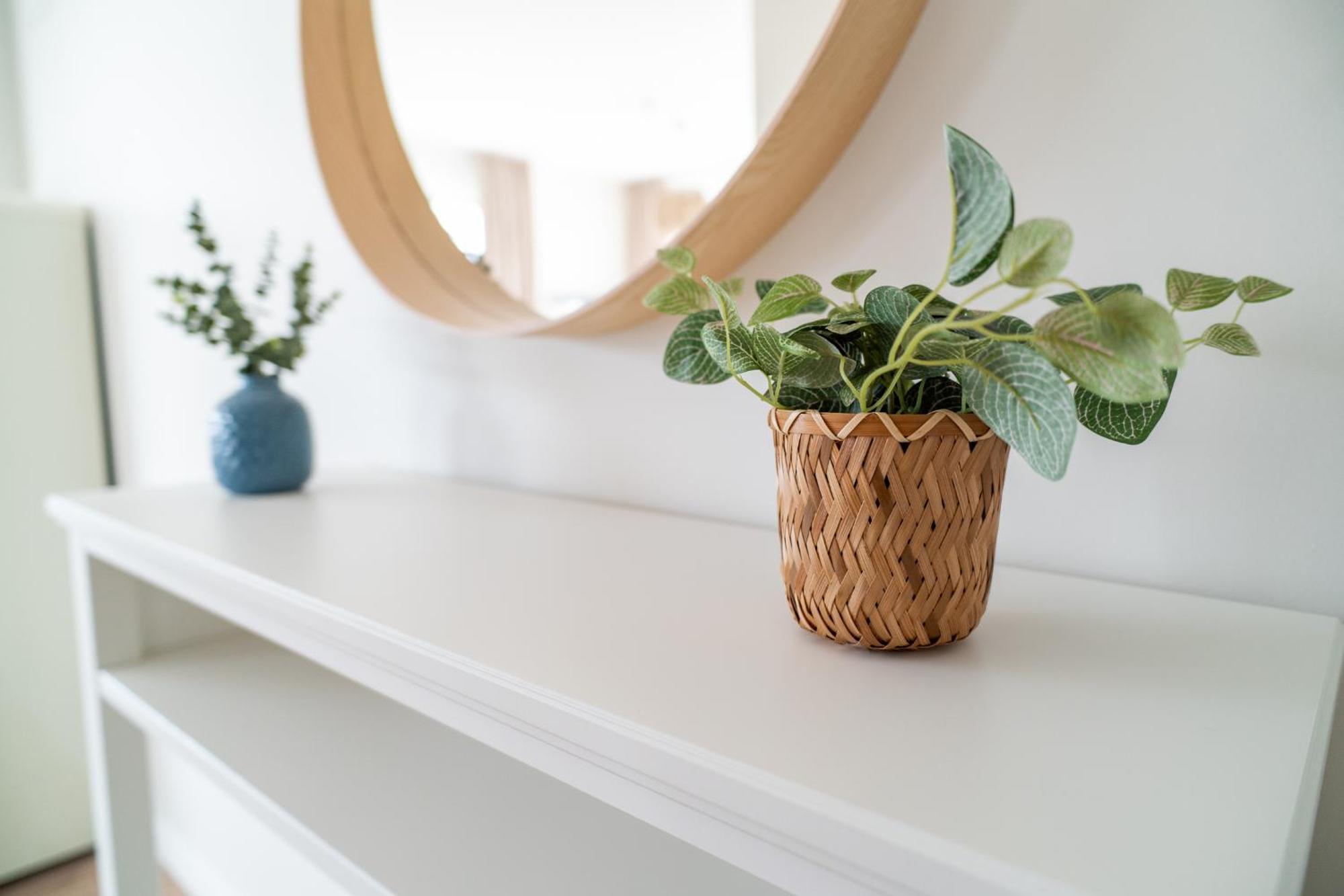 Apartament Amber & Calm Euronia مينززدرويه المظهر الخارجي الصورة